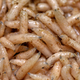 Image for article titled New Subway Menu Items Testing Poorly With Focus Group Of Swarming Maggots